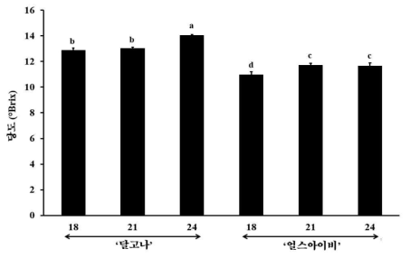 적심마디에 따른 품종별 과실 당도