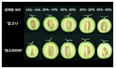 급액량에 따른 품종별 과실 생육 특성