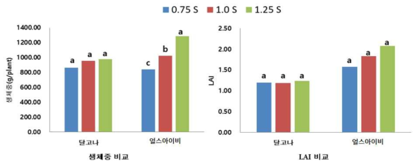 급액농도에 따른 품종별 생체중 및 엽면적지수(LAI)