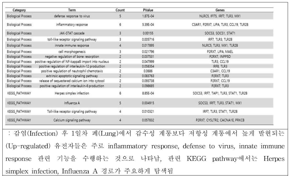 저항성 VS 감수성 차등발현 유전자에 대한 Gene Ontology 분석 결과 –감염 후 (Infection) 1일차 폐(Lung): 83 genes