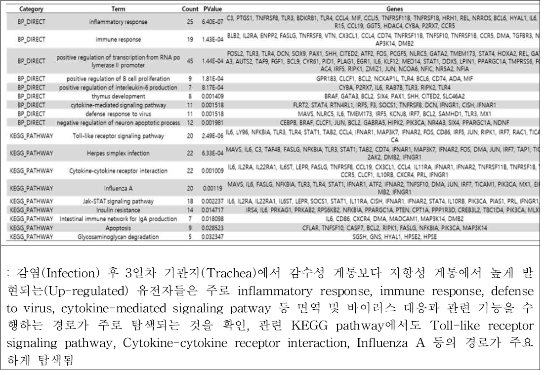 저항성 VS 감수성 차등발현 유전자에 대한 Gene Ontology 분석 결과 –감염 후 (Infection) 3일차 기관지(Trachea)