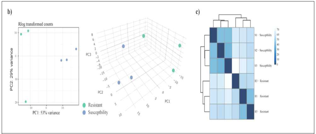 저항성 VS 감수성 감염 후(Infection) 3일차 기관지(Trachea): PCA, Hierarchical clustering analysis