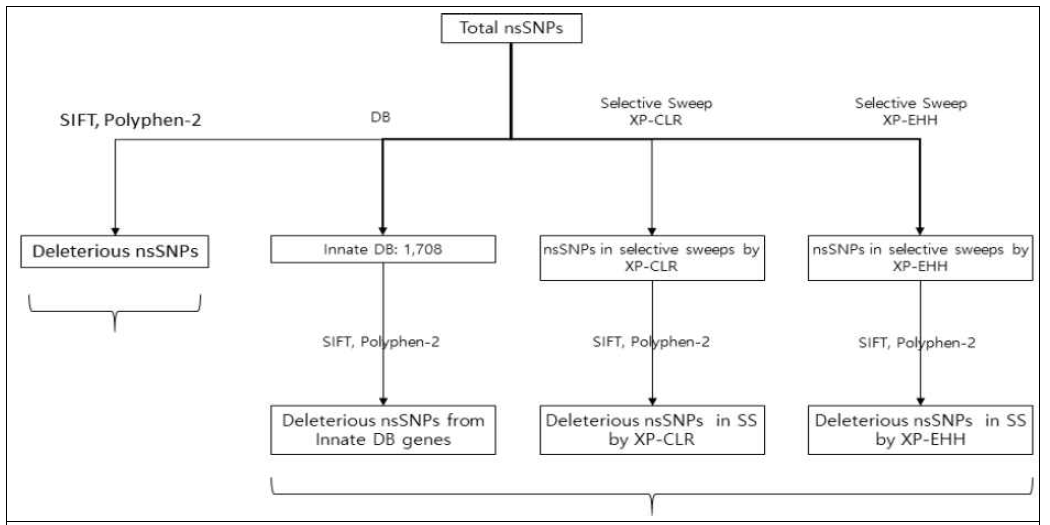유용유전체 변이의 기능 해석을 위한 nsSNP 발굴 개념도