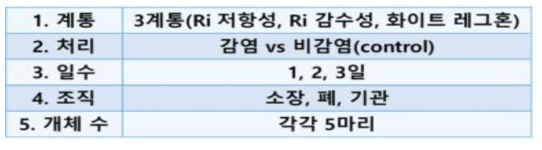 1차년도 AI 바이러스 공격접종 실험 디자인