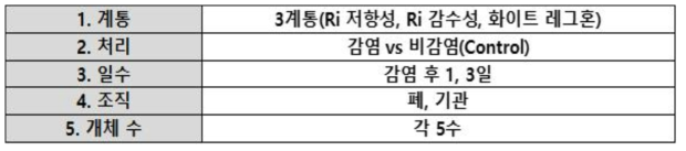 2차년도 Ai 바이러스 공격접종 실험 디자인