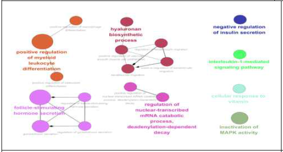 차별발현 유전자 Gene Ontology