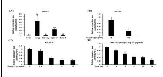 chAP3S2 의 조직 발현과 닭 DF-1세포에 서 Poly (I:C)에 의한 chAP3S2 발현억제 조사