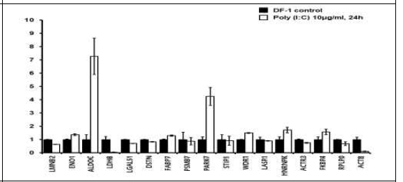 DF-1 단백체 분석에서 동정된 Poly (I:C)에 의해 발현이 증가하는 단백체 유전체의 유전자 발현 조사