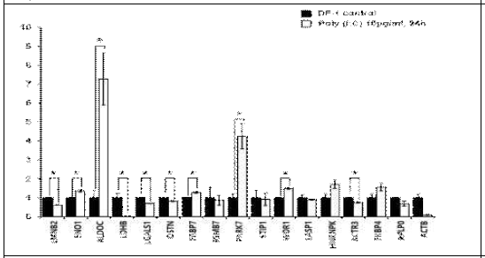 DF-1 단백체 분석에서 동정된 Poly (I:C)에 의해 발현이 감소하는 단백체 유전체의 유전자 발현 조사