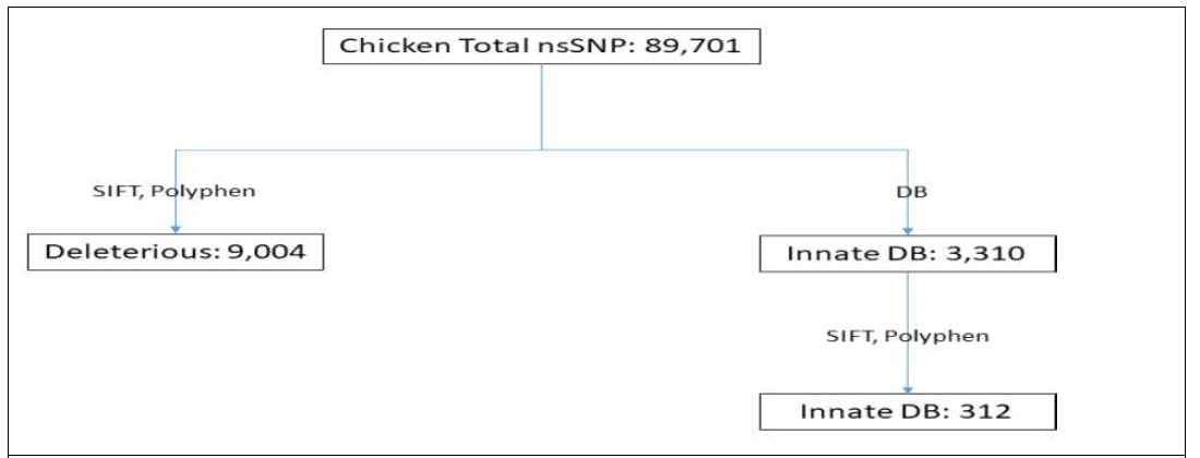 닭 유전체에 존재하는 nsSNP 기능에 따른 분류