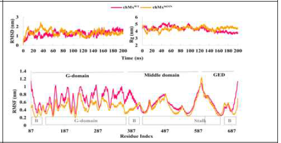 Analysis of 200 ns MD trajectories of both wild-type (chMxWT) and mutant(chMxS631N) chicken Mx