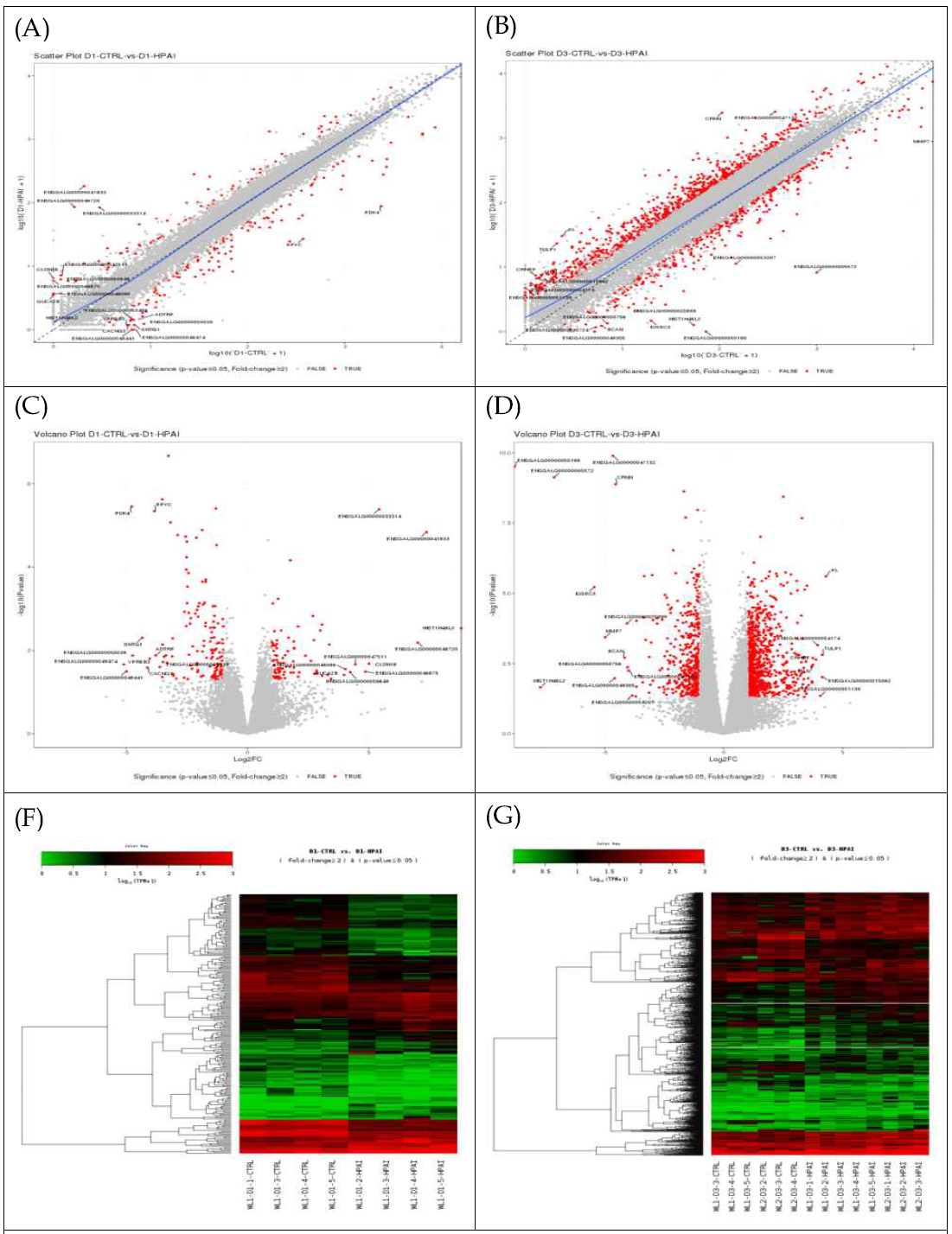 Bioinformatics analayses for differentially expressed genes(DEGs) identified by DESeq2. Scatter plots for DEGs of day 1(A) and day 3(B) after HPAIV infection. Volcano plots of day1(C) and day3(D), heatmaps of DEGs of day1(F) and day3(G)