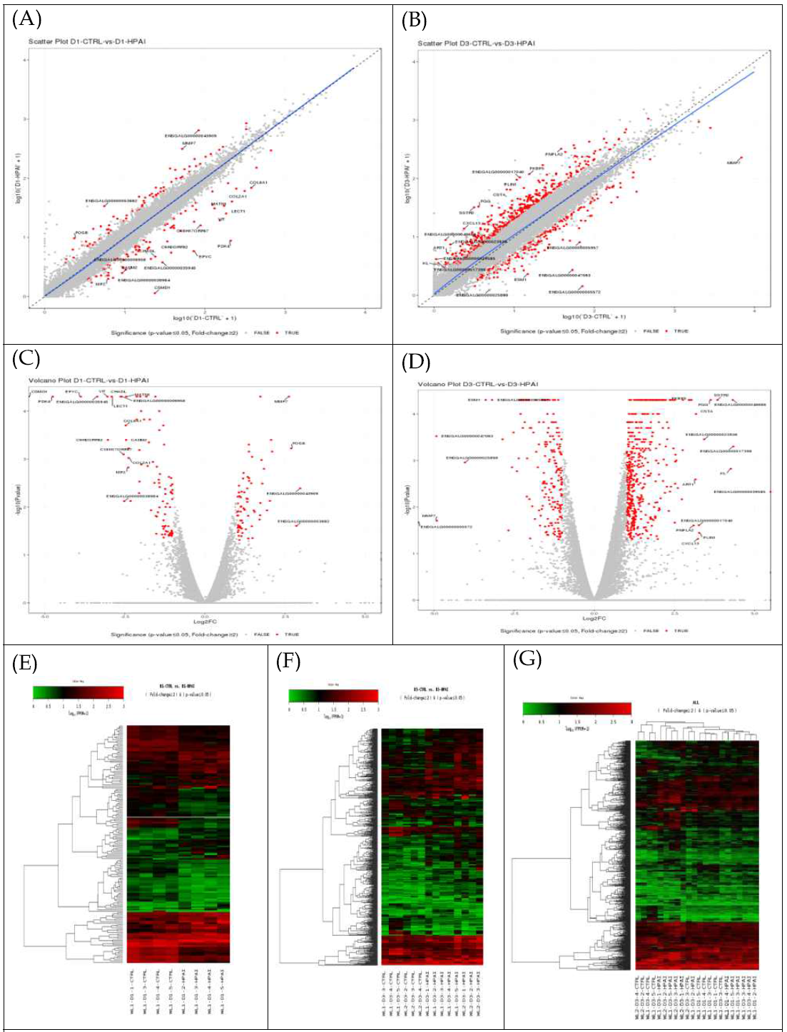 Bioinformatics analayses for differentially expressed genes(DEGs) identified by CuffDiff. Scatter plots for DEGs of day 1(A) and day 3(B) after HPAIV infection. Volcano plots for DEGs of day1(C) and day3(D). Heatmaps for DEGs of day1(E), day3(F) and all(G)