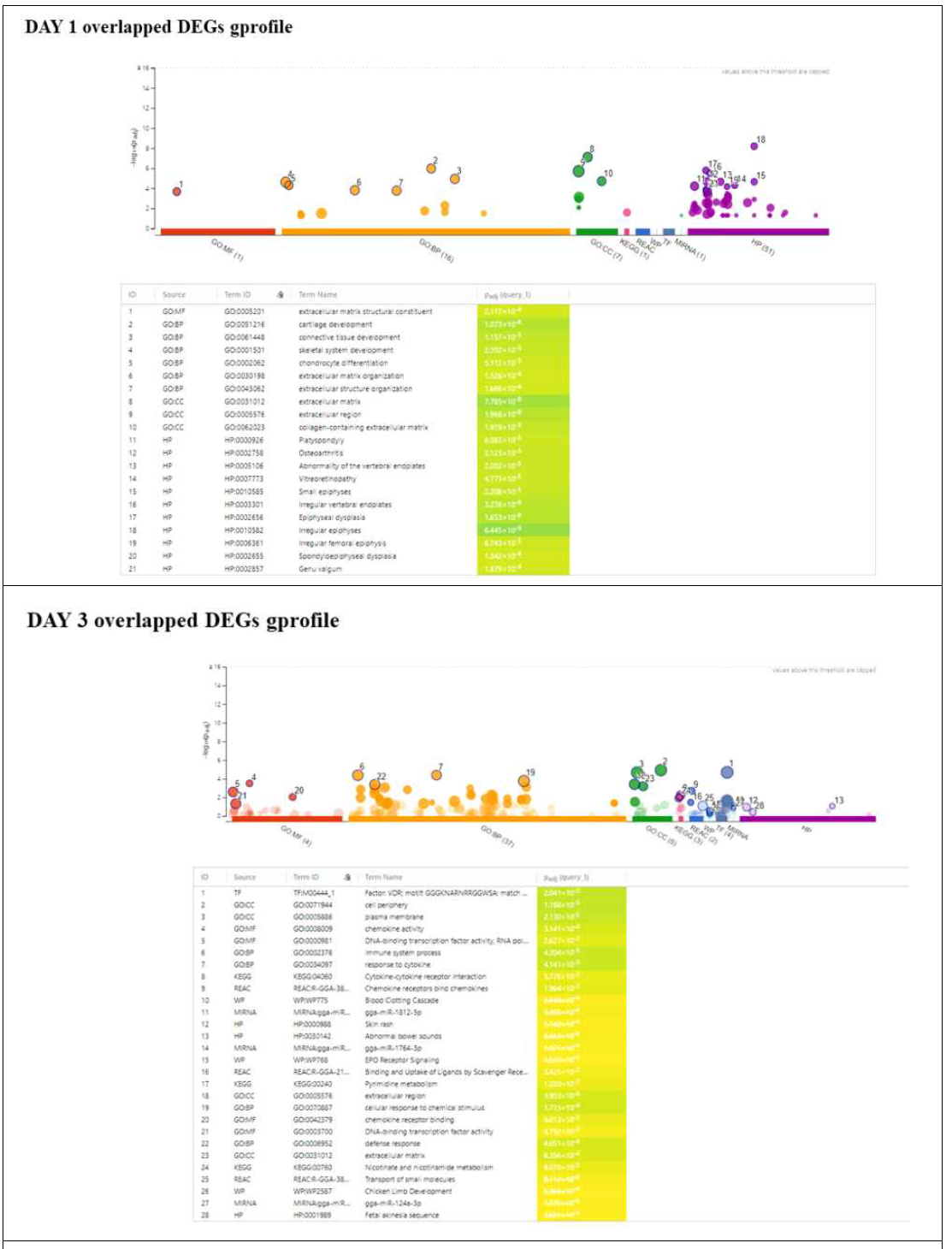 Gene Ontology (GO) and KEGG pathway analyses of DEGs identified by both DESeq2 and CuffDIff. Day1 post infection (A) and Day3 post infection(B)