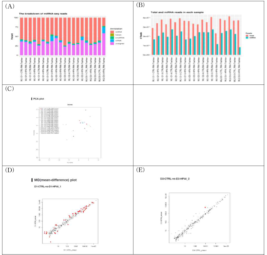 Identification of differentially expressed small RNAs from HPAIV infected trachea of White Leghorn, day1 and day3 respectively. Breakdown of small RNA-seq reads(A),total and miRNA distribution in each samples(B). PCA analysis of small RNA-seq data(C). MD plot for small RNA-seq of day1(D) and day3(F)