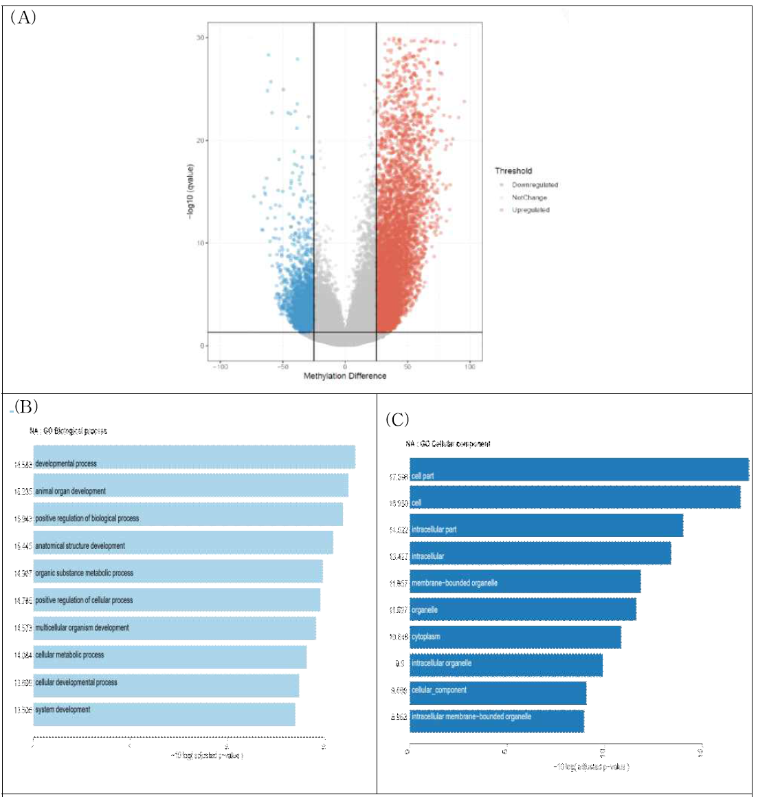 Bioinformatics analysis of differentially methylated regions identified in the genome of poly(I:C) stimulated chicken DF-1 cells