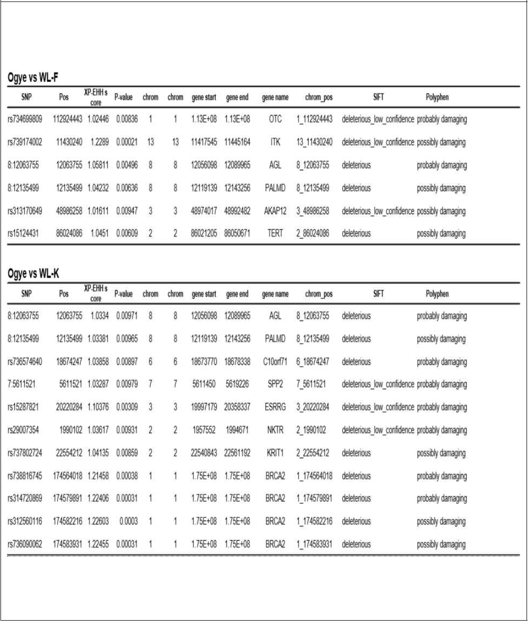 Functional annotation of nsSNPs from Ogye vs WL (F-, K-lines) selective signatures