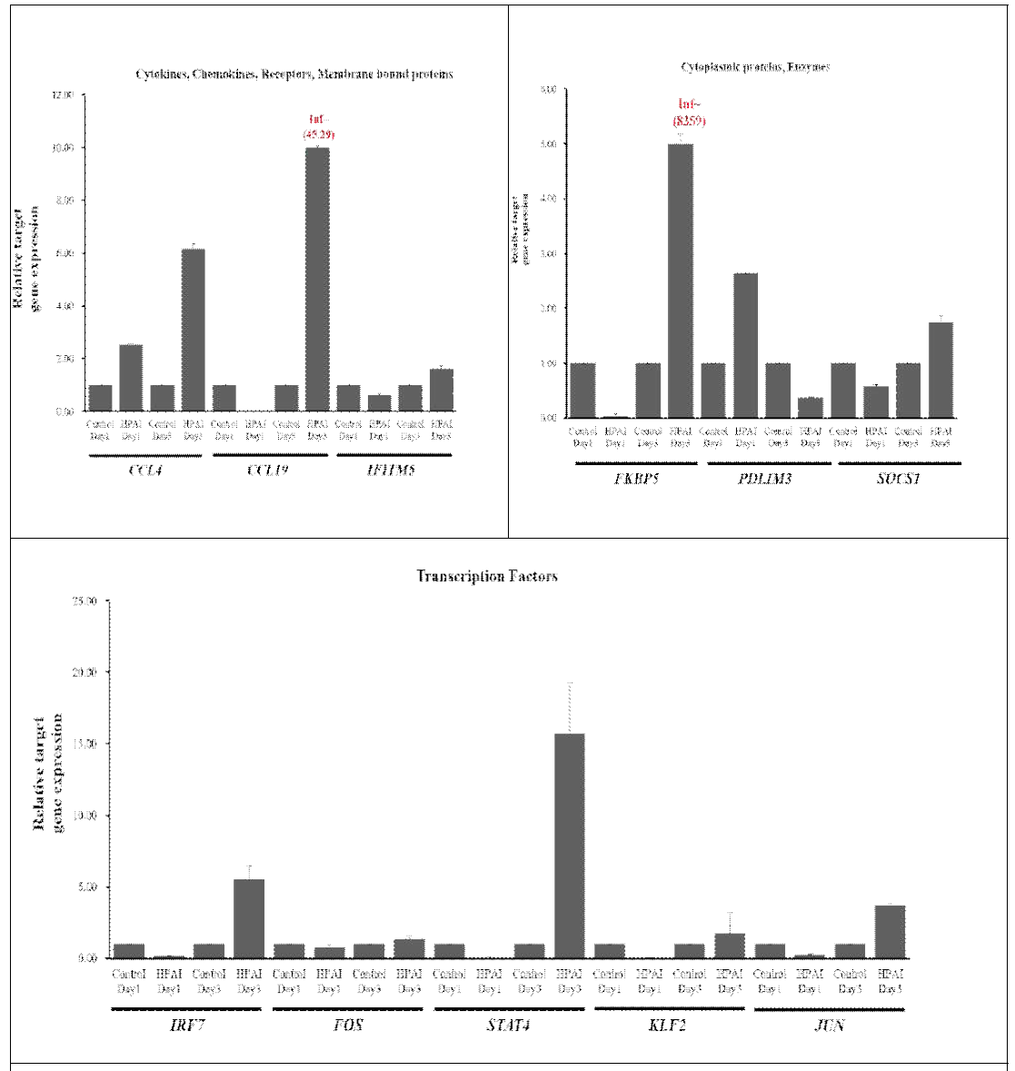 QRT-PCR validation of selected DEGs which were identified by comparison of day 3 HPAIV infected WL tracheas