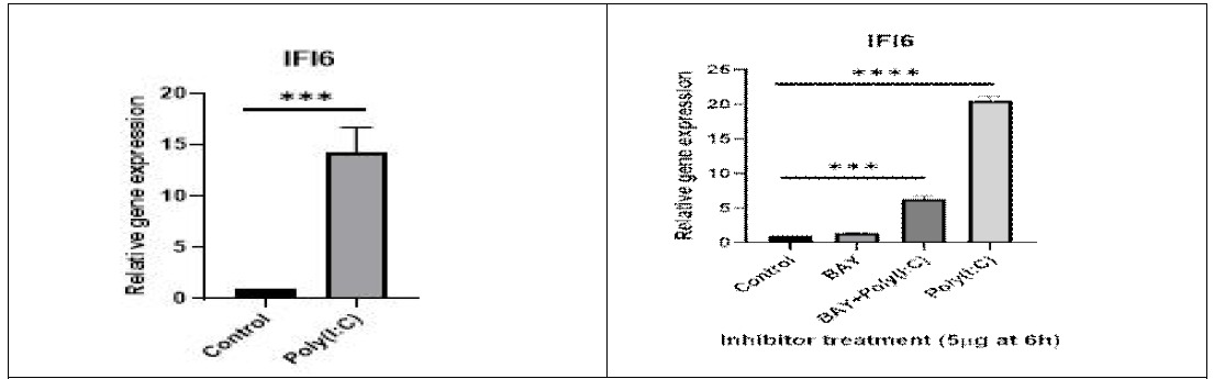 Expression and regulation of chicken IFI6 gene in chicken DF-1 cells