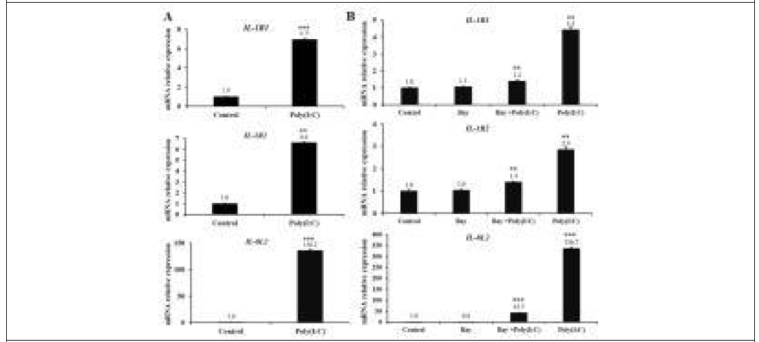 Transcriptional regulation of chicken IL-1R1 and IL-1R2 gene expression in DF-1 cells in response to TLR3 stimulation