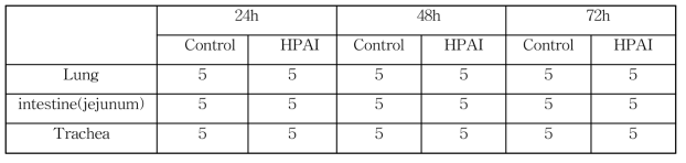 전사체 분석용 HPAI/H5N1으로 감염된 저항성 Ri 닭 시료