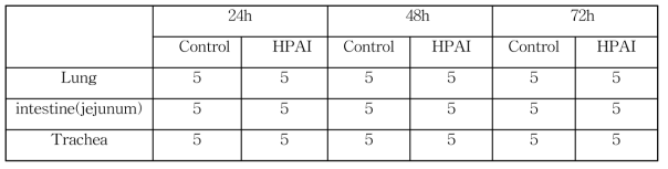전사체 분석용 HPAI/H5N1으로 감염된 감수성 Ri 닭 샘플