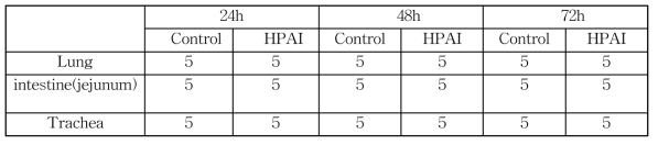 전사체 분석용 LPAI/H5N2으로 감염된 저항성 Ri 닭 샘플