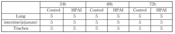 전사체 분석용 LPAI/H5N2으로 감염된 감수성 Ri 닭 샘플