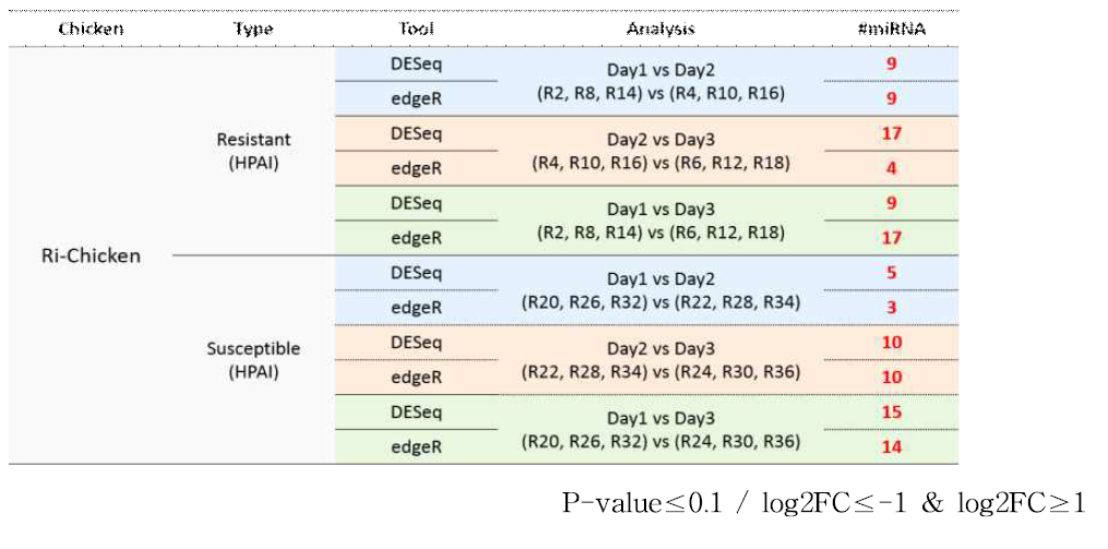 Ri-Chicken HPAI 감염실험에서 저항성 감수성 닭의 날짜별 miRNA 비교