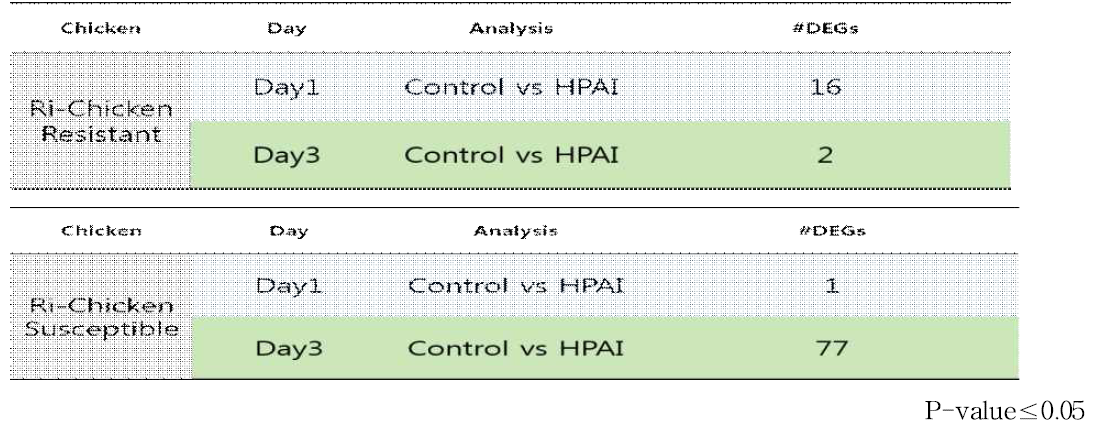 Ri-Chicken HPAIV 감염에서 Resistant, Susceptible, Control vs Treatment 비교