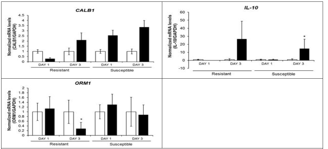 Q-RT-PCR for resistant and susceptible R-chicken