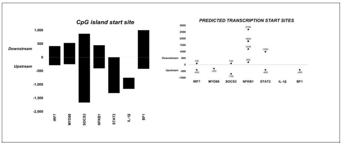 CpG isalnd start site search and predicted start sites