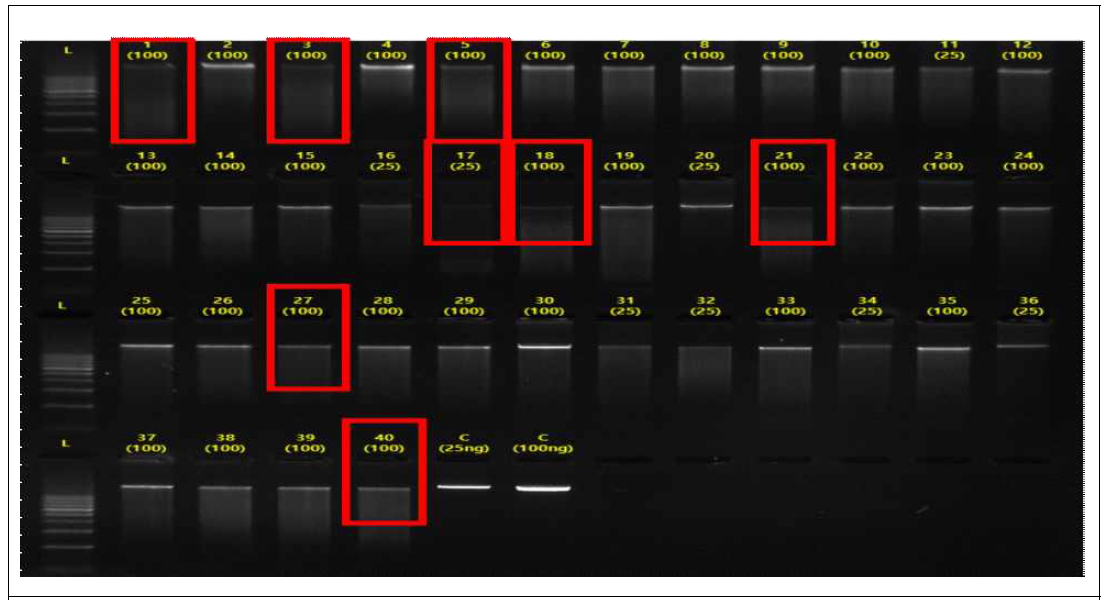 Genomic DNA quality check for methylome analysis