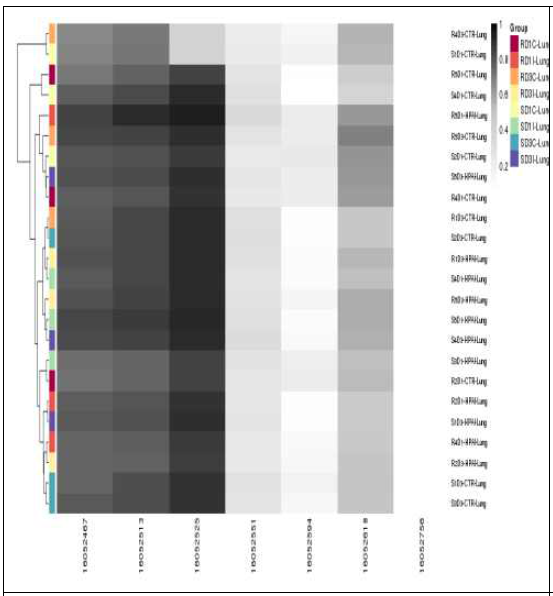 Dendogram analysis to check sample clustering from the methylation value of CpG sites in IRF7 gene