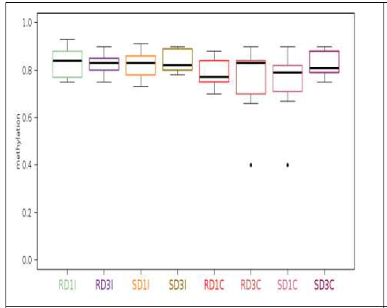 Box plot grouped into 8 different comparison. Top 3 with high status of CpG site in IRF7 gene