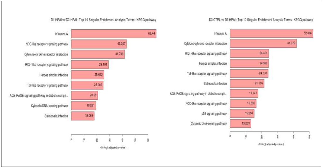 Functional analysis for D1 HPAI vs. D3 HPAIV and D3 control vs infection KEGG pathway in trachea