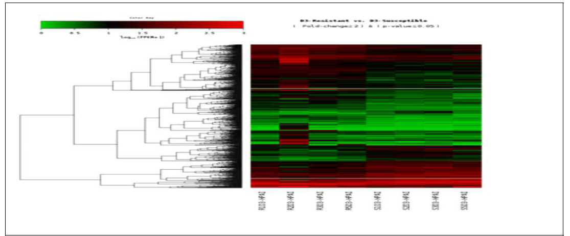 Heat map for HPAVI infected samples between resistant and susceptible Ri chicken lines in trachea