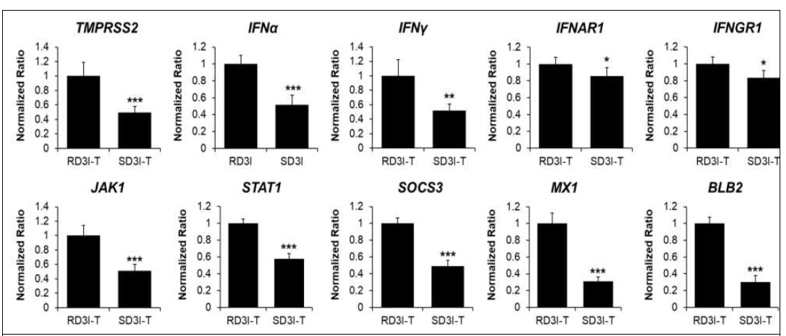 Quantitative RT-PCR for D3 HPAI resistant vs. D3 HPAIV susceptible Ri chicken