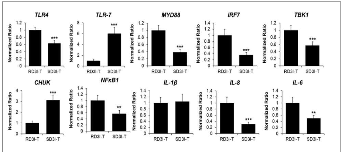 Quantitative RT-PCR for D3 HPAI resistant vs. D3 HPAIV susceptible Ri chicken