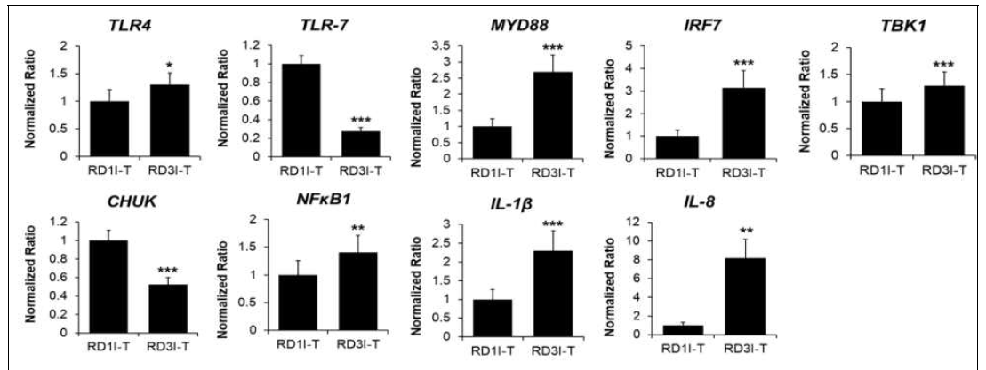 Quantitative RT-PCR for D1 HPAIV vs. D3 HPAIV resistant Ri chicken