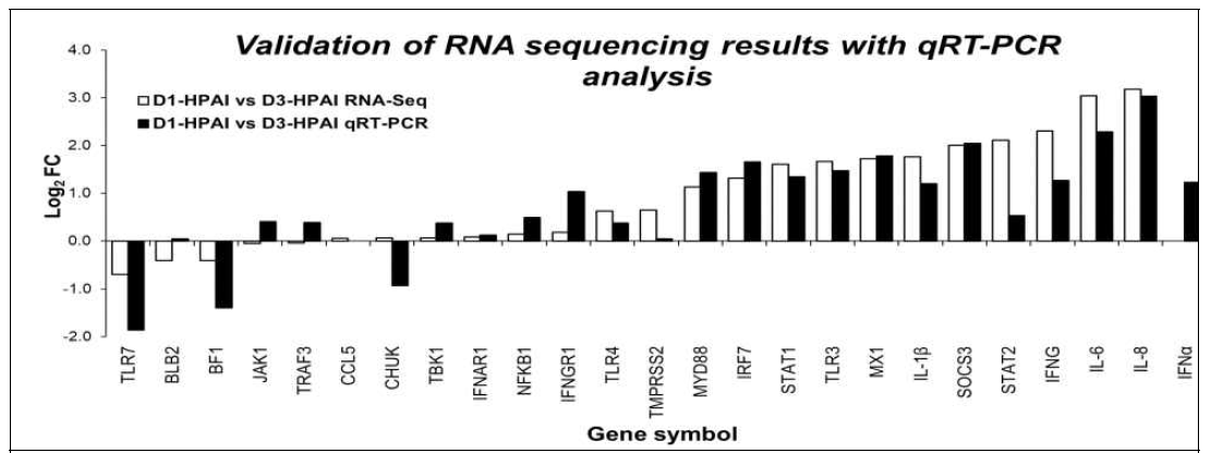 Comparison of RNA sequencing and quantitative RT-PCR for D1 HPAIV vs. D3 HPAIV resistant Ri chicken