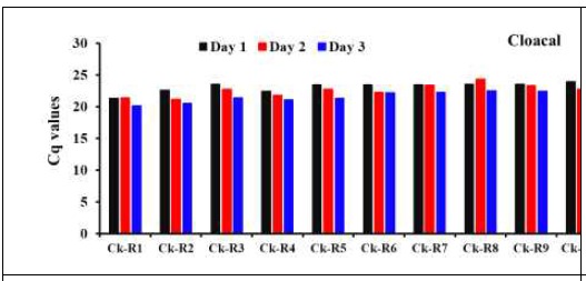 Viral H5 gene detection by RRT-PCR for the swab samples from cloaca of the individual Ri susceptible chicken line infected with 104EID50ofA/duck/Vietnam/ QB1207/2012(H5N1)after1-3dpi