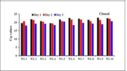 Viral H5 gene detection by RRT-PCR for the swab samples from cloaca of the White Leghorn chicken infected with 104EID50ofA/duck/Vietnam/ QB1207/2012(H5N1)after1-3dpi