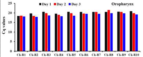 Viral H5 gene detection by RRT-PCR for the swab samples from Oropharynx of the individual Ri susceptible chicken line infected with 104EID50ofA/duck/Vietnam/ QB1207/2012(H5N1)after1-3dpi