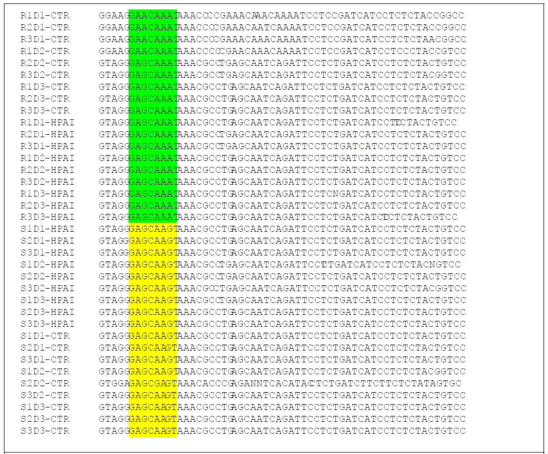 Alignment of the partial Mx genes in Ri chicken