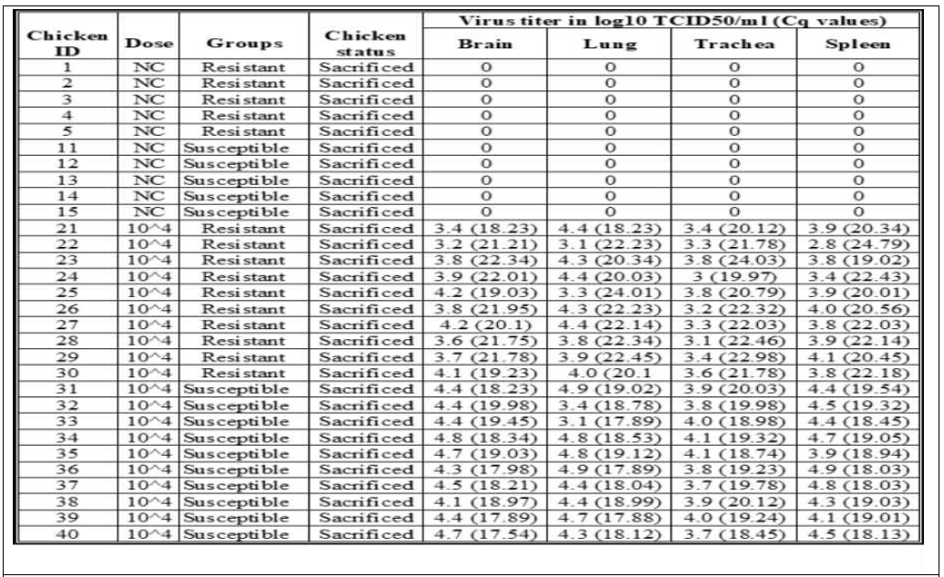 Virus titers and Cq values in RRT-PCR analysis of the viral H5 gene obtained for samples of the two Ri chicken lines infected with A/duck/Vietnam/QB1207/2012 (H5N1) after 3-dpi