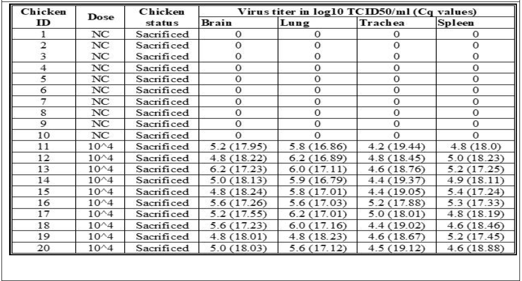Virus titers and Cq values in RRT-PCR analysis of the viral H5 gene obtained for samples of the White Leghorn chicken infected with A/duck/Vietnam/QB1207/2012 (H5N1) after 3-dpi