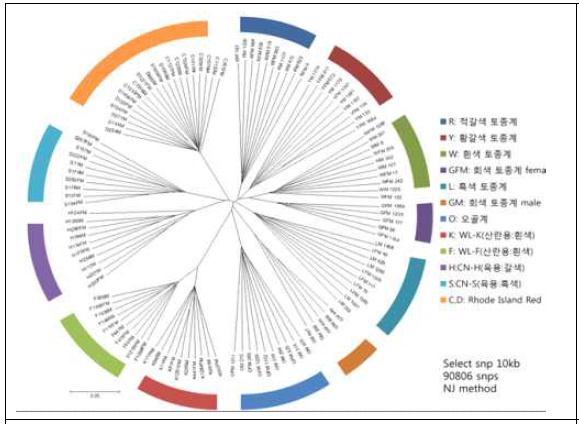 토종닭의 진화지도