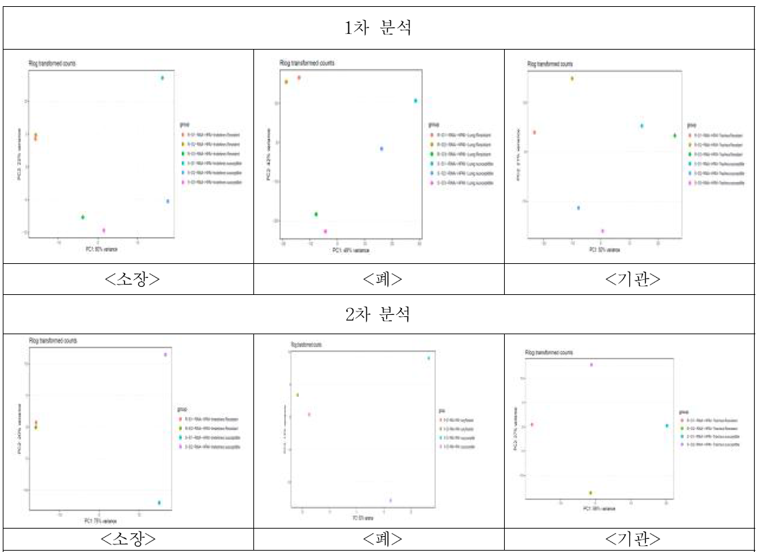 PCA 분석 결과