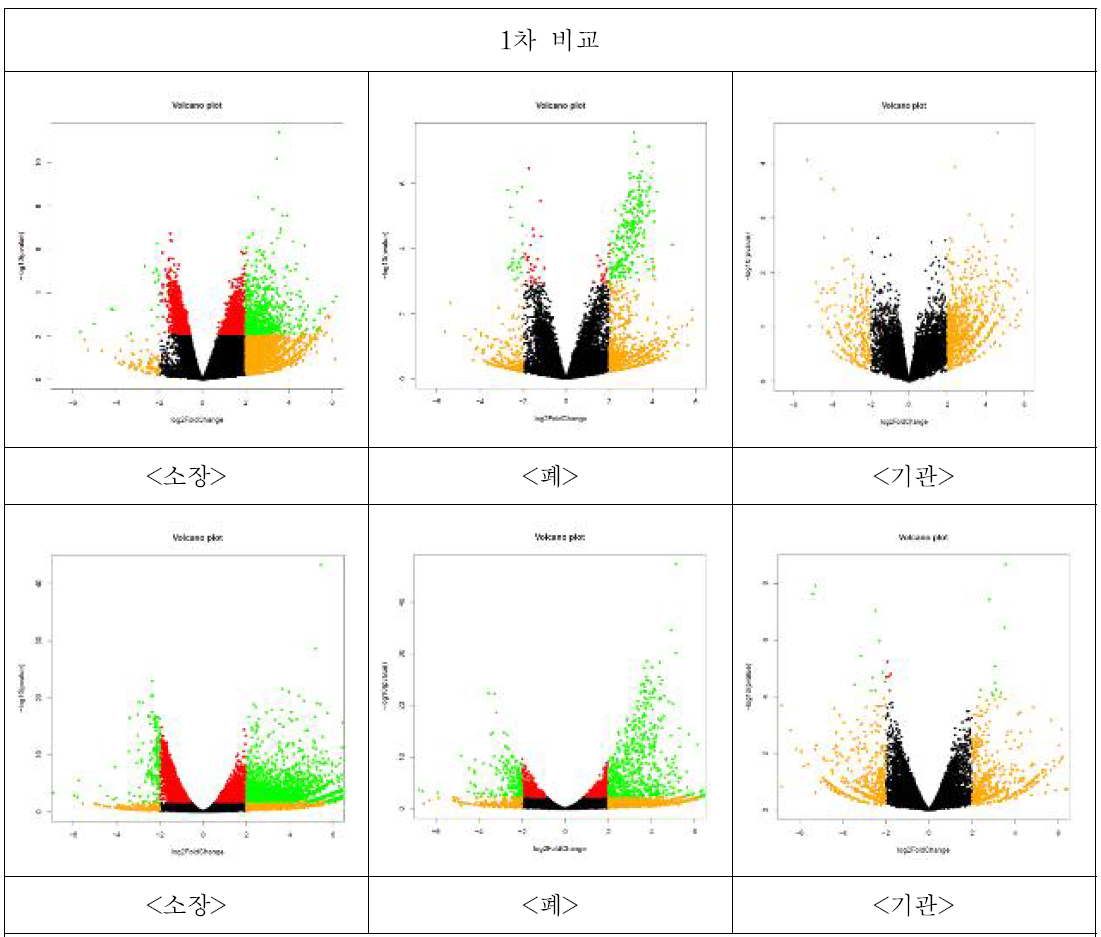 volcano plot 결과 (red:FDR  2, green: FDR  2)